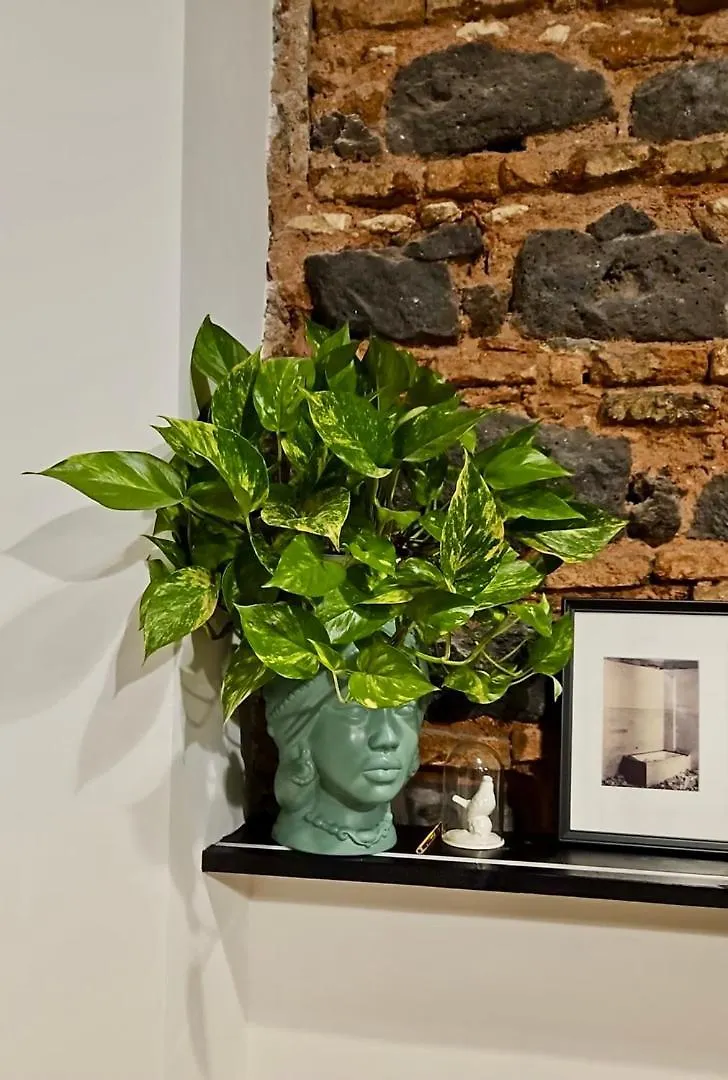 Minimal Chic-Teatro Massimo Bellini Apartment Catania Italy